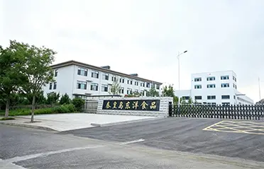 Met een investering van 250 miljoen RMB en een fabriek van 40.000㎡ heeft Dongyang Foods een sterke basis gelegd voor de productie van instantnoedels van hoge kwaliteit.