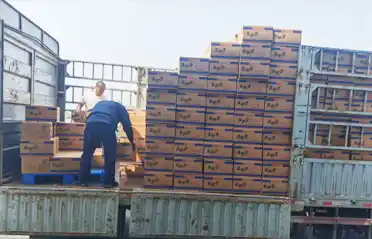 Hoeveel controlepunten moet een Mala Tang-noedelpannenkoek (pikante hete pot) passeren voordat deze in Shenyang op een vrachtwagen wordt geladen?