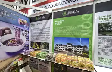 Op zoek naar niet-gefrituurde noedels in Maleisië? Qinhuangdao Dongyang Food Showcases op de internationale Halal-tentoonstelling