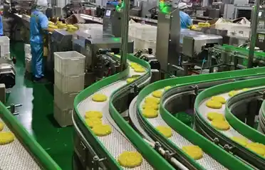 Hoe veilige Instant Noodle-blokken kiezen? Een kijkje in de voedselworkshop van Qinhuangdao Dongyang